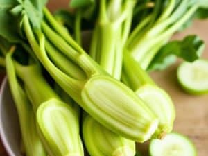 15 recettes avec du chou vert pour se régaler à la maison