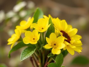 Faut-il vraiment faire une détox au printemps ?