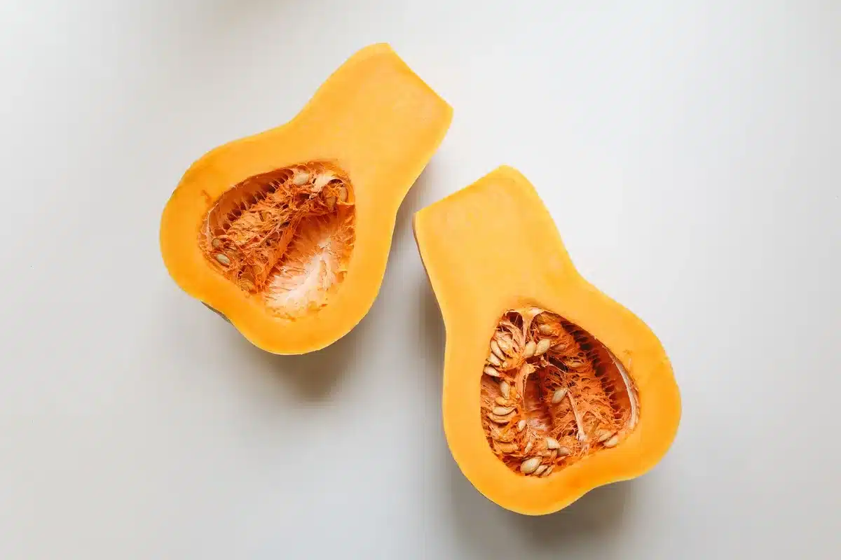 Plat de Parmentier doré au fromage sortant du four avec courge butternut et pommes de terre