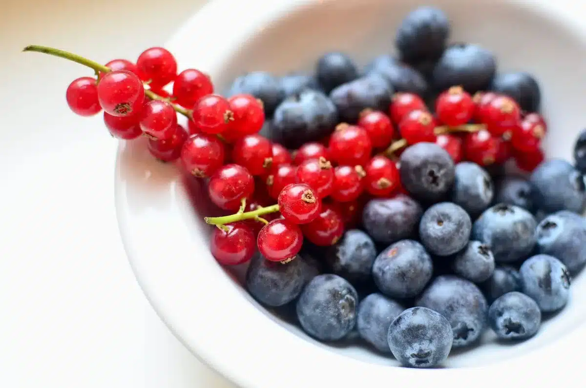 Ingrédients frais pour la pâte de groseilles: groseilles, sucre et eau