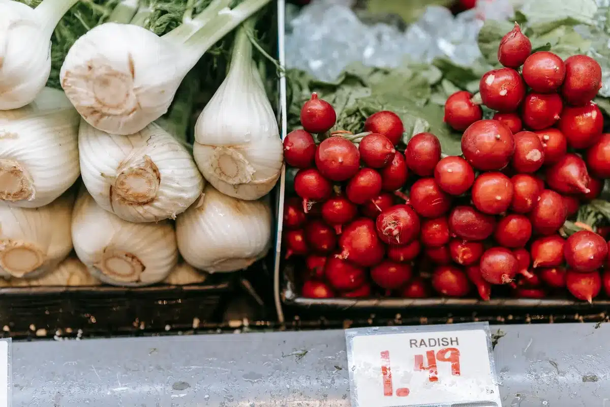 Ingrédients frais pour la recette : fenouils, tomates, olives et herbes aromatiques.