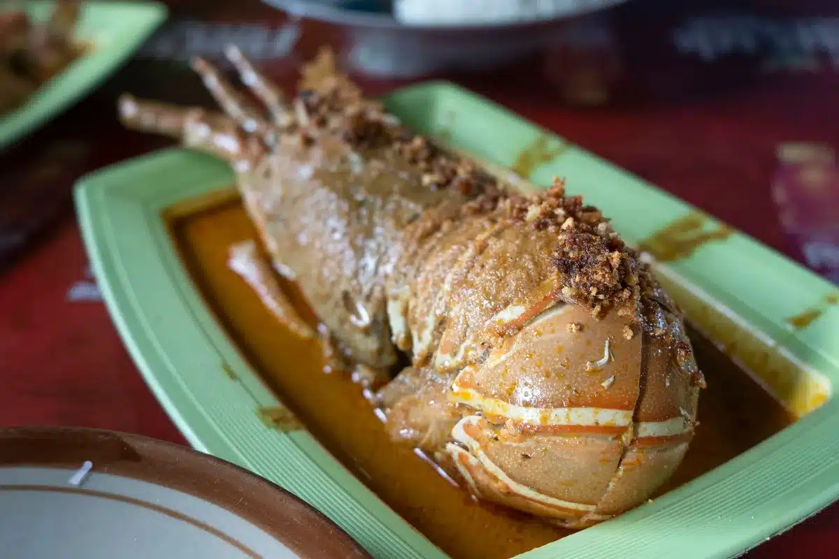 Langoustes Thermidor servies sur assiette avec sauce crémeuse dorée et fromage râpé
