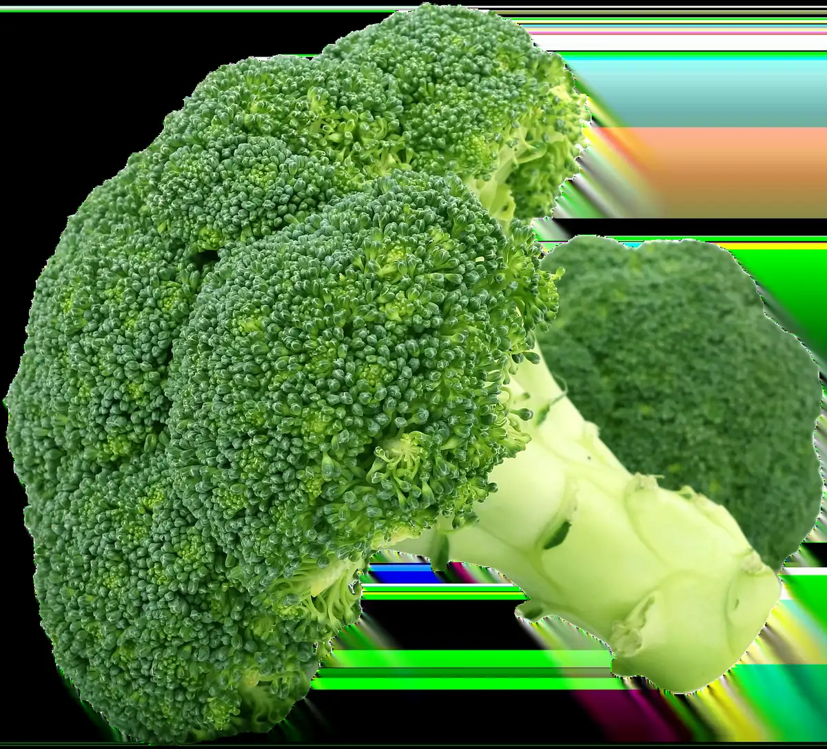 Légumes surgelés variés: brocoli, haricots verts et épinards prêts à cuire.