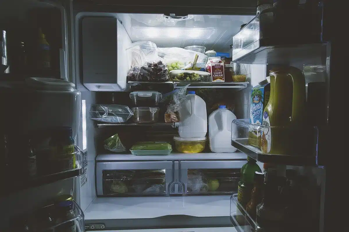 Courgettes fraîches entreposées dans un endroit frais et sombre, loin des sources de chaleur