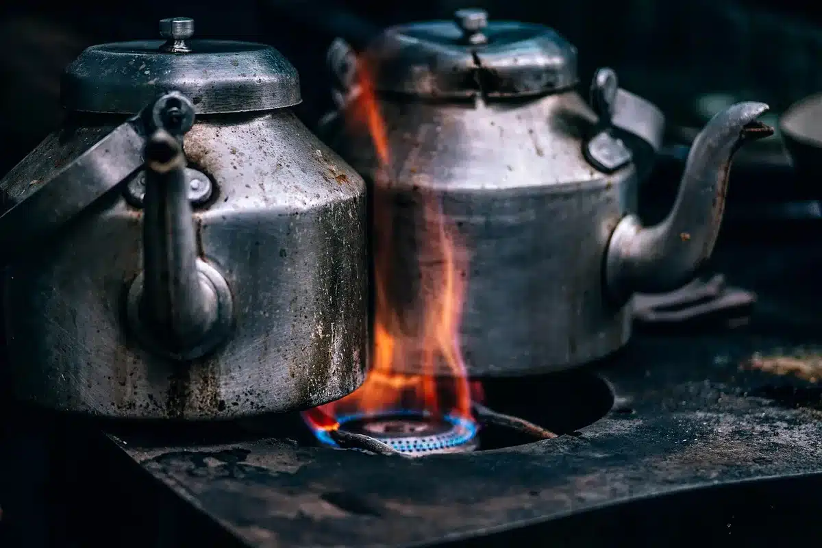 Cocotte en cuisson sur le feu avec les ingrédients du ragoût
