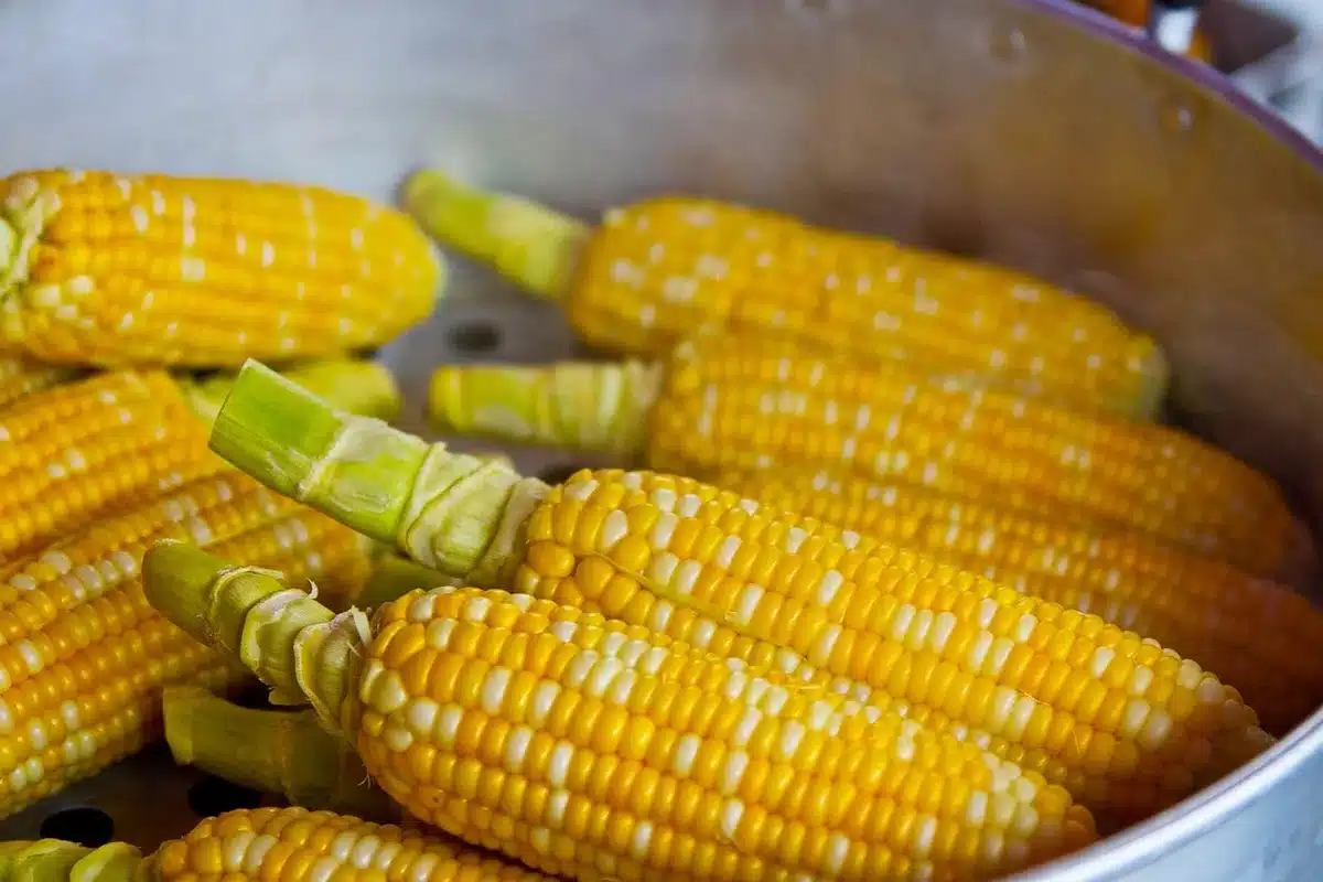 Ingrédients de la recette: maïs frais, miel, œuf, lait et autres éléments préparés