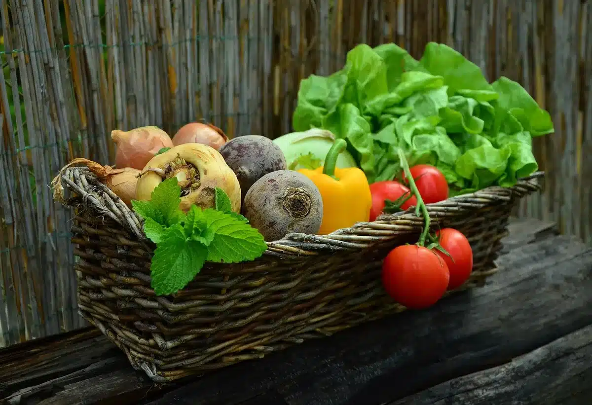 Salade de maïs fraîche avec piment rouge, menthe et vinaigrette dans un saladier