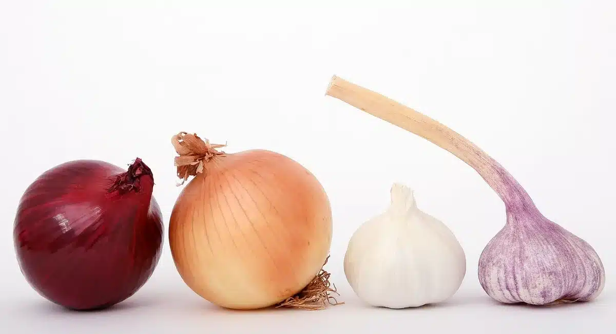 Ingrédients variés pour la recette: épices, gingembre, ail et coriandre fraîche
