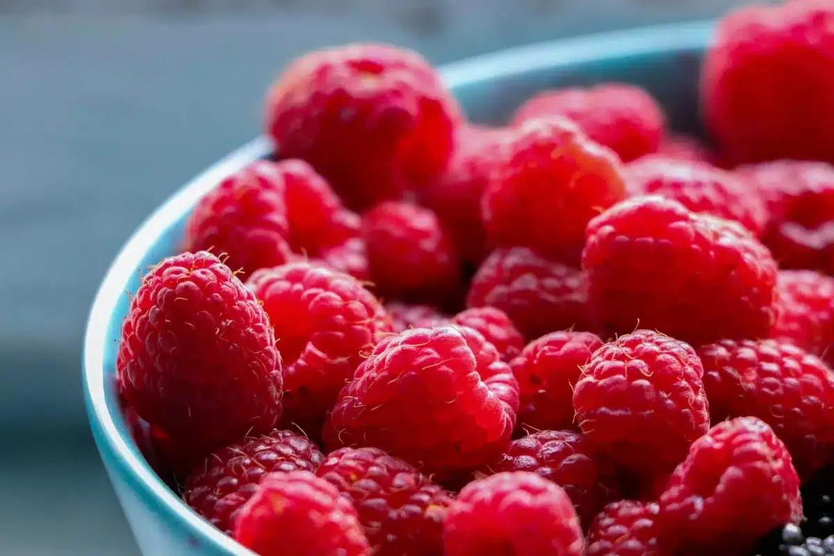 Bol de fruits frais mélangés pour garnir un trifle