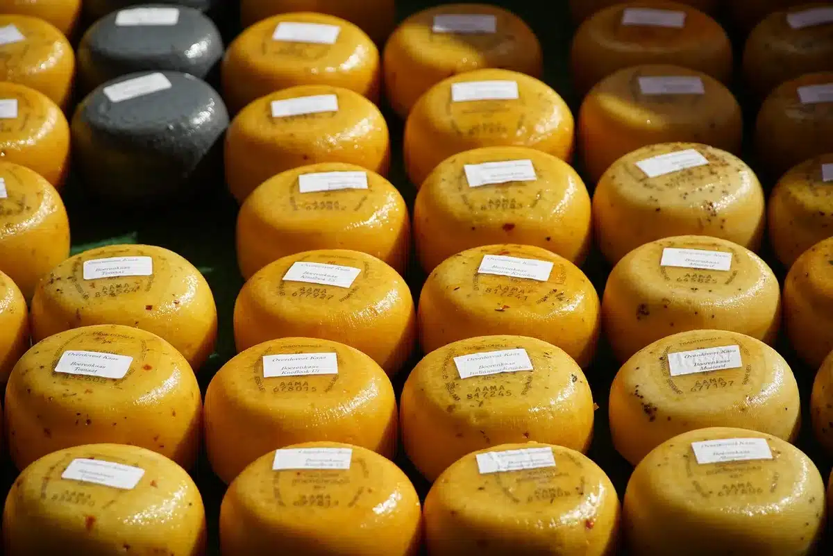 Fromage de chèvre écrasé à la fourchette dans un bol avec épices