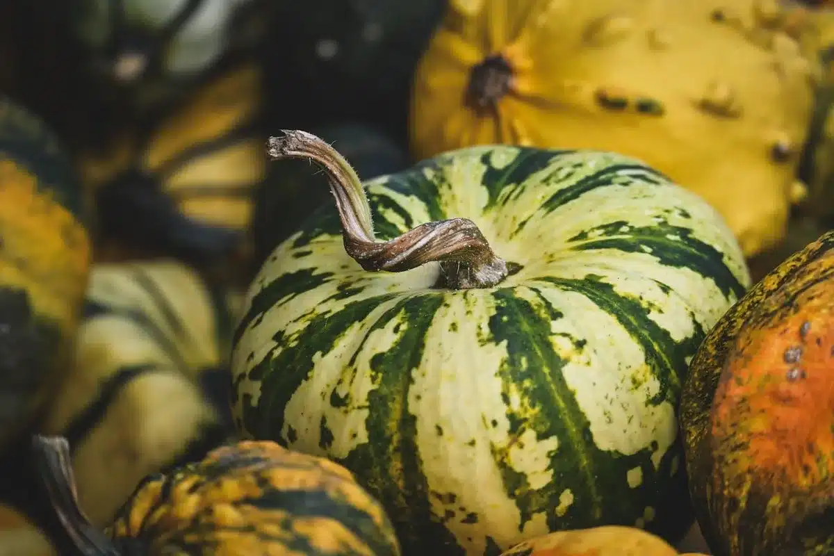 Velouté de potimarron servi dans la peau du potimarron avec son chapeau